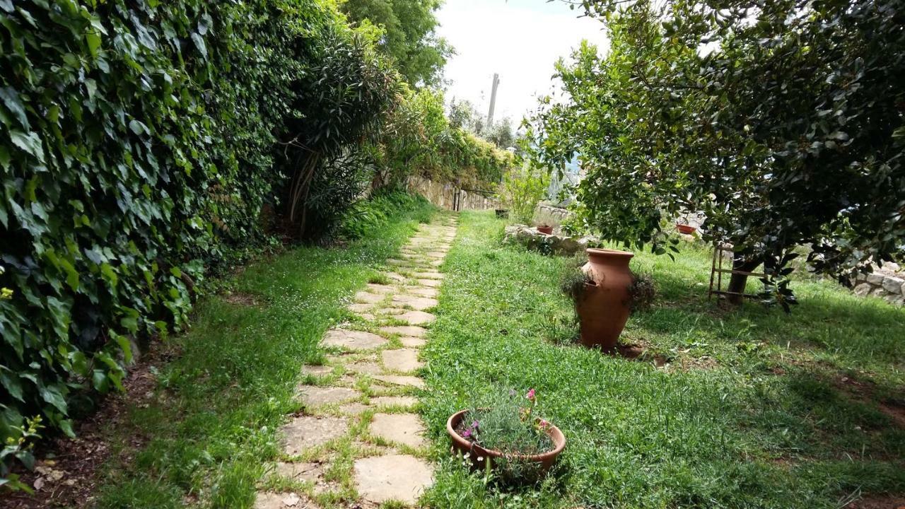 B&B La Vecchia Scuola Sonnino Bagian luar foto